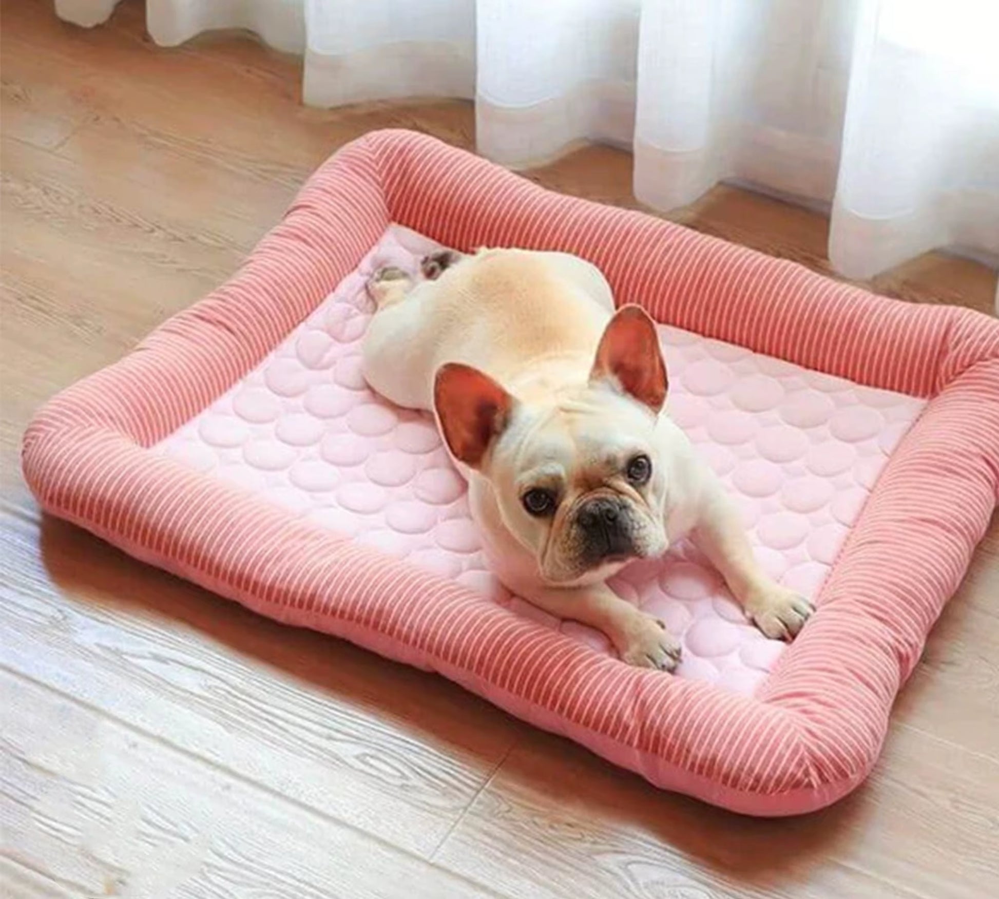 Cooling Dog Bed Pet Cool Mat for Cats and Dogs | Ice Silk Material Soft for Summer Sleeping Product Dog Beach Bed